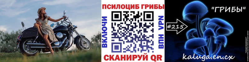 kraken зеркало  Калачинск  shop Telegram  как найти наркотики  Галлюциногенные грибы Cubensis 